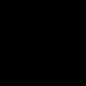 Meet your Posher, Avi